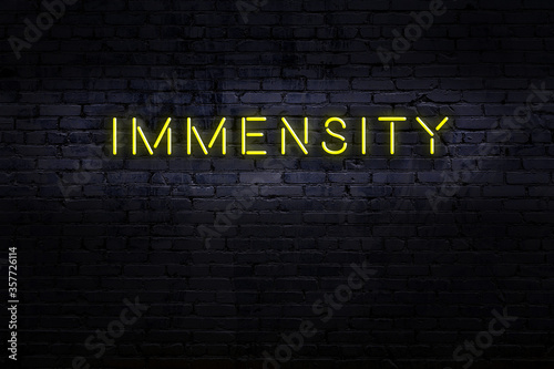 Принти на полотні Neon sign. Word immensity against brick wall. Night view