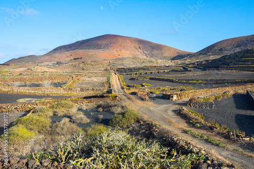 Beautiful view of La Geria vineyards region with Los Volcanes Natural Park in the background, Lanzarote - Canary Islands, Spain 