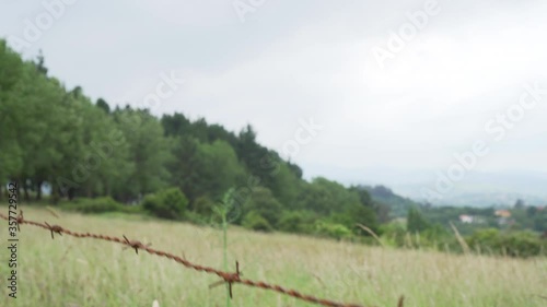 Barbed wire closeup on a fence in a field with a forest on a background of blue sky. Tall grass sways in the wind. Beautiful conceptual landscape. Dynamic camera movement photo