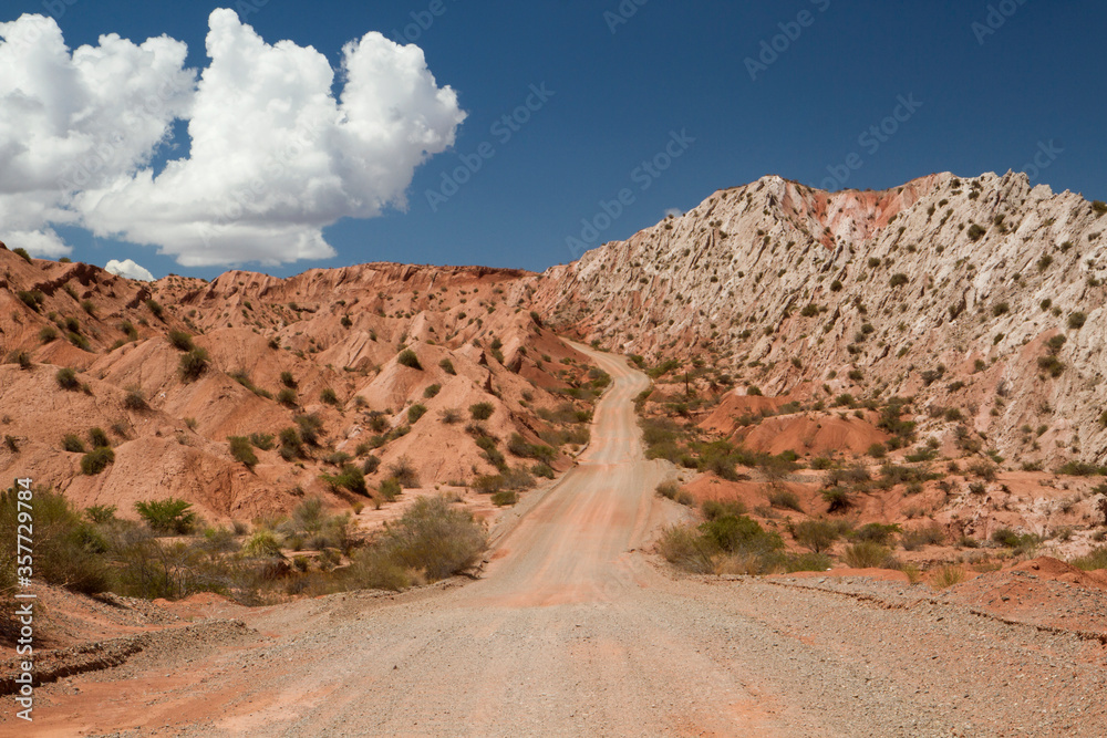 Traveling along the dirt road in Los Cardones National Park arid desert. 