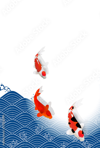 鯉　波　暑中見舞い　背景
