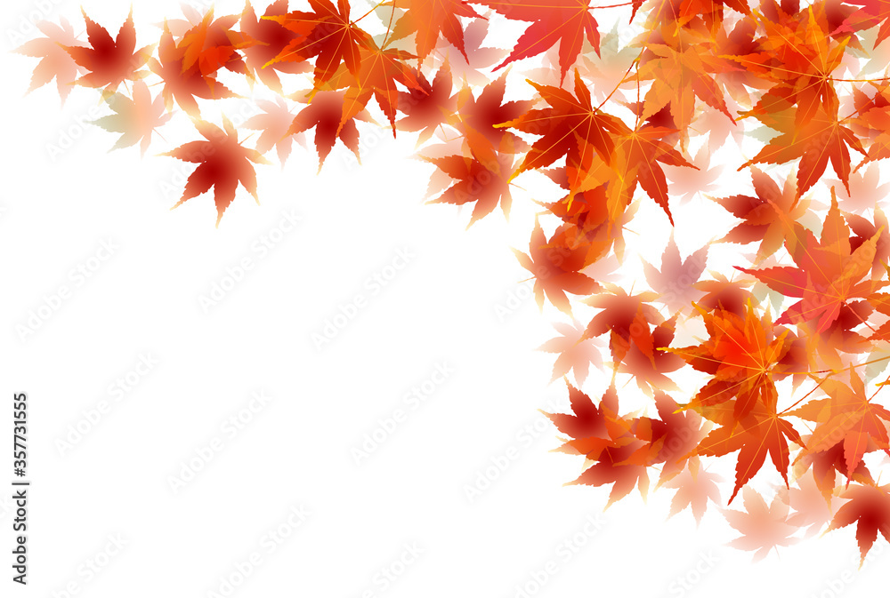 紅葉　もみじ　秋　背景