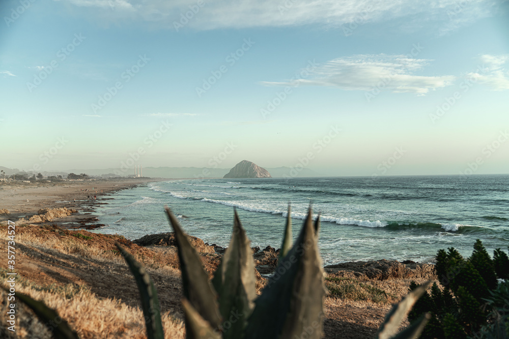 View of Morro Rock on beach with cactus plant in foreground