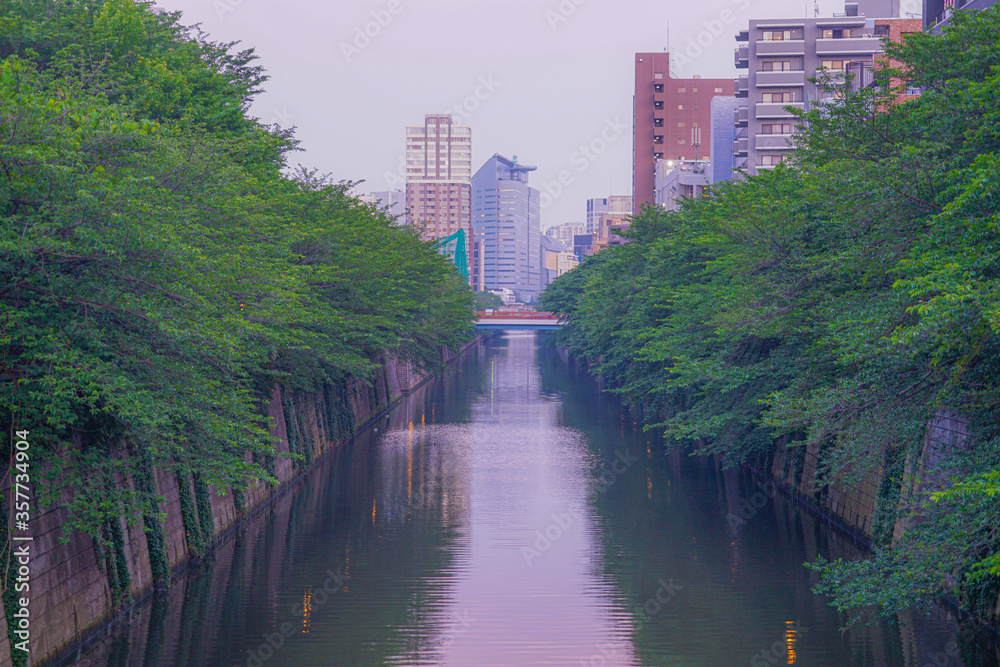 目黒川の新緑と街並み Stock Photo Adobe Stock