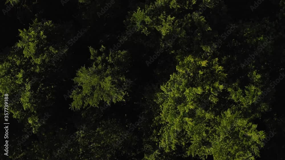 Swing up from a forest with green trees up to a idyllic town at springtime, captured by a drone.