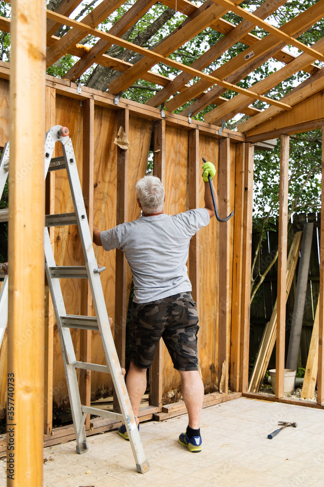 Demolition phase with a man tearing down an old shed with a crowbar in a backyard that was rotting and falling apart Demolition phase with a man tearing down an old shed with a crowbar in a backyard that was rotting and falling apart