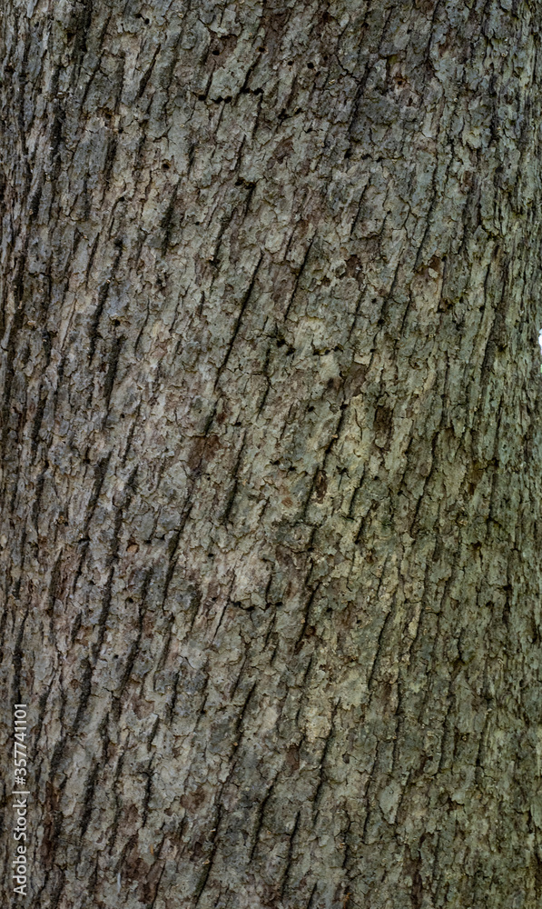 Obraz premium A day in Iowa