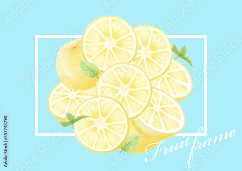 夏　フルーツ　グレープフルーツ　レモン　オレンジ　イラストセット