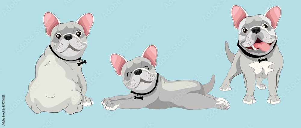 BULLDOG POSE 1 BULLDOG POSE 1