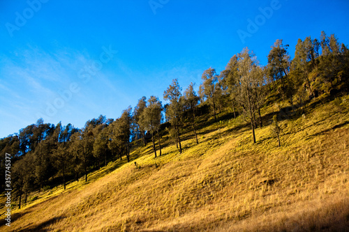 Beautiful morning view from Ranu Kumbolo Lake, Bromo Tengger Semeru National Park. photo