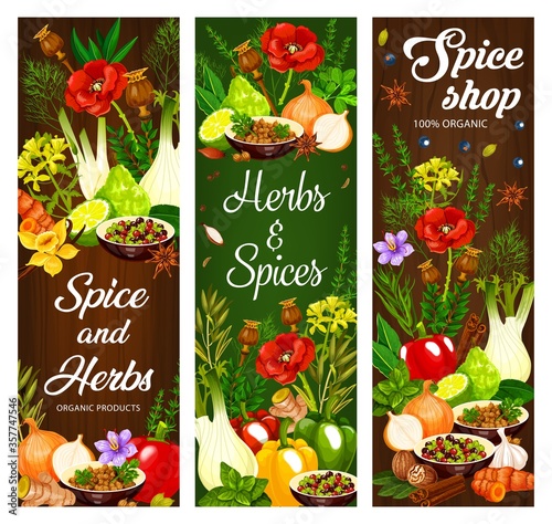 Spice  condiment and herbs banners. Vector pepper and rosemary  garlic and thyme  cinnamon  vanilla  ginger and nutmeg  basil and dill  fennel and turmeric  coriander  star anise and parsley
