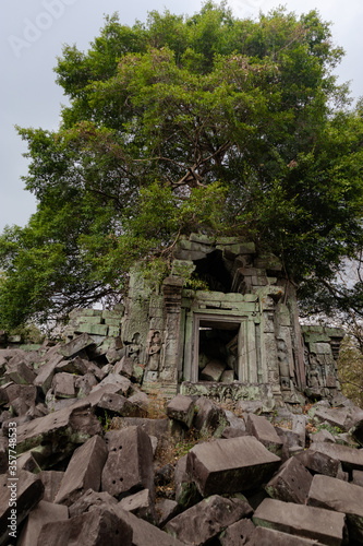 Alive old tree growing among the ruins behind a door of a gallery at Beng Mealea temple, eastern part of the Angkor region, Siem Reap, Cambodia, South east Asia