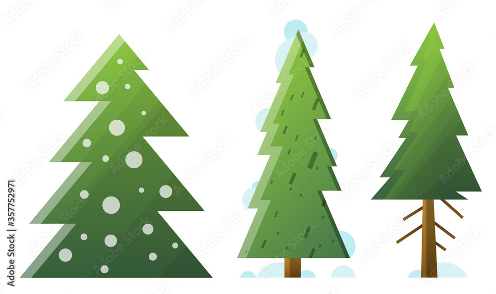green and dead fir trees green and dead fir trees