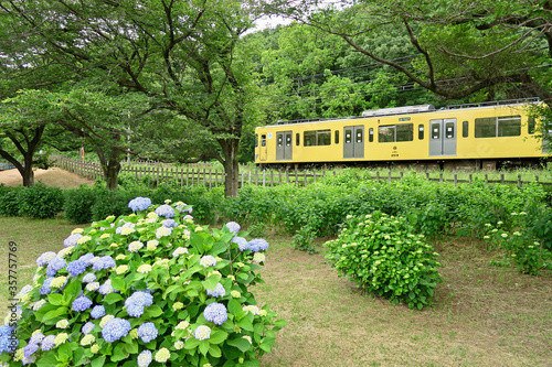 北山公園の西武新宿線（東村山市）