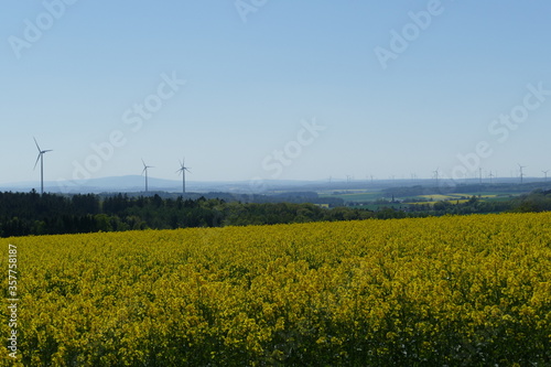 Landschaften mit blühendem Rapsfeld und Windrädern im Gegenlicht im Hunsrück