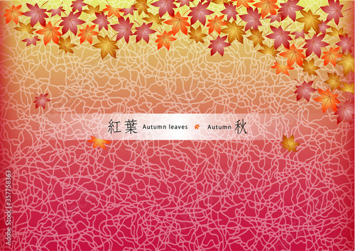 紅葉文様　背景イラスト　background