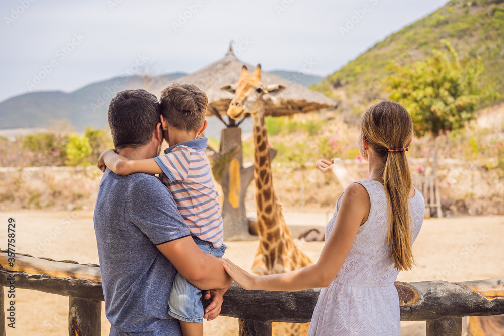 Happy mother, father and son watching and feeding giraffe in zoo. Happy family having fun with animals safari park on warm summer day