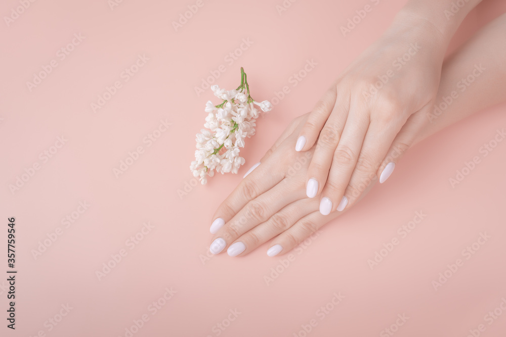 Organic cosmetics. Female hands on pink background, white lilac. top view mockup