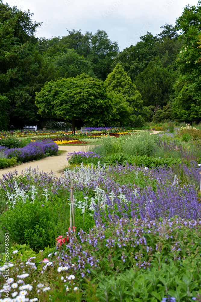 Naklejka premium lila Blumenbeete zur Frühingszeit, Botanischer Garten in Gütersloh im Juni