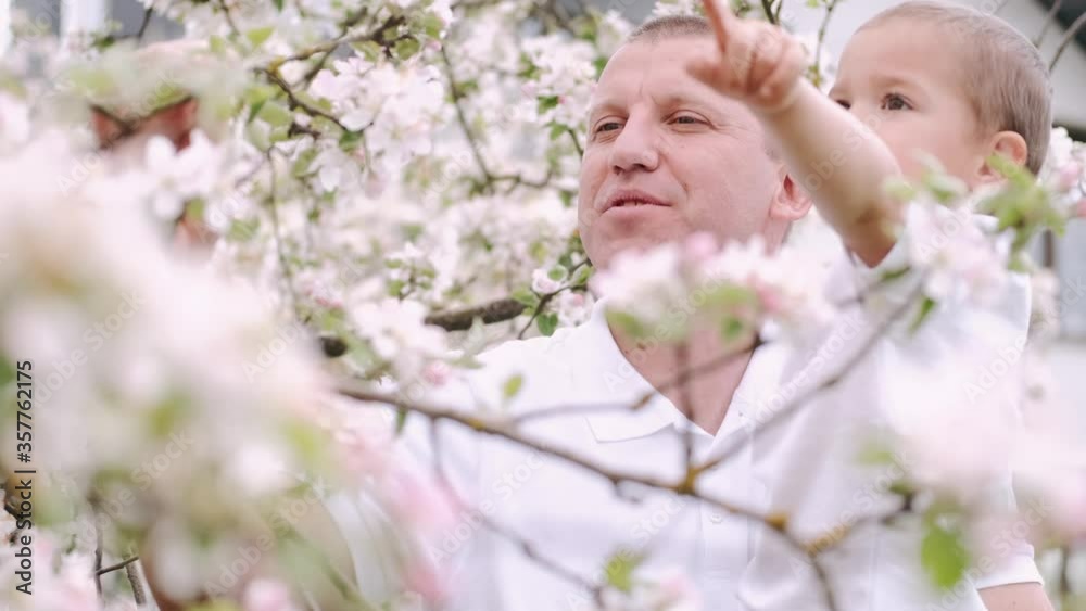 Dad and son wear white clothes. People stand near flowering tree. Father holds kid in hands. Dad and son wear white clothes. People stand near flowering tree. Father holds kid in hands.