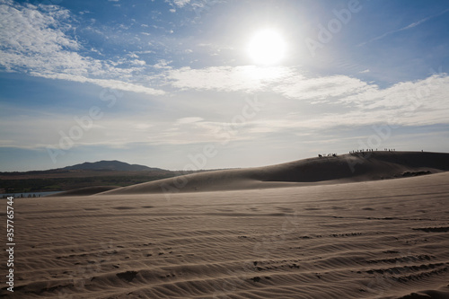 Sand dunes in the desert  Muine  Vietnam