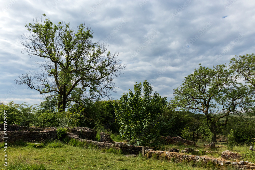 Hollinshead hall