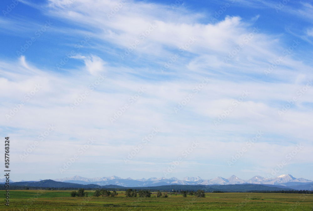 green field and blue sky