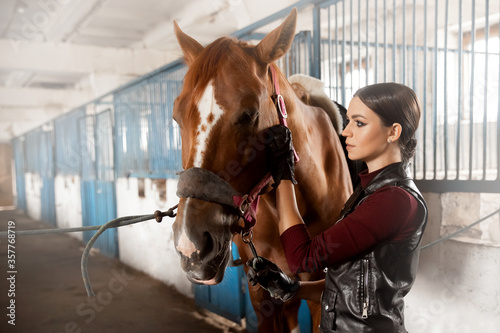 Woman grooming brushes horse out and prepares after ride in stall