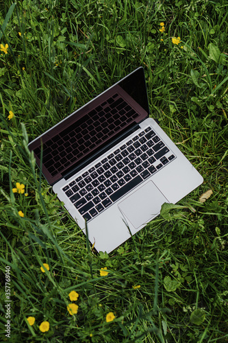 laptop stands in the park on green grass among flowers