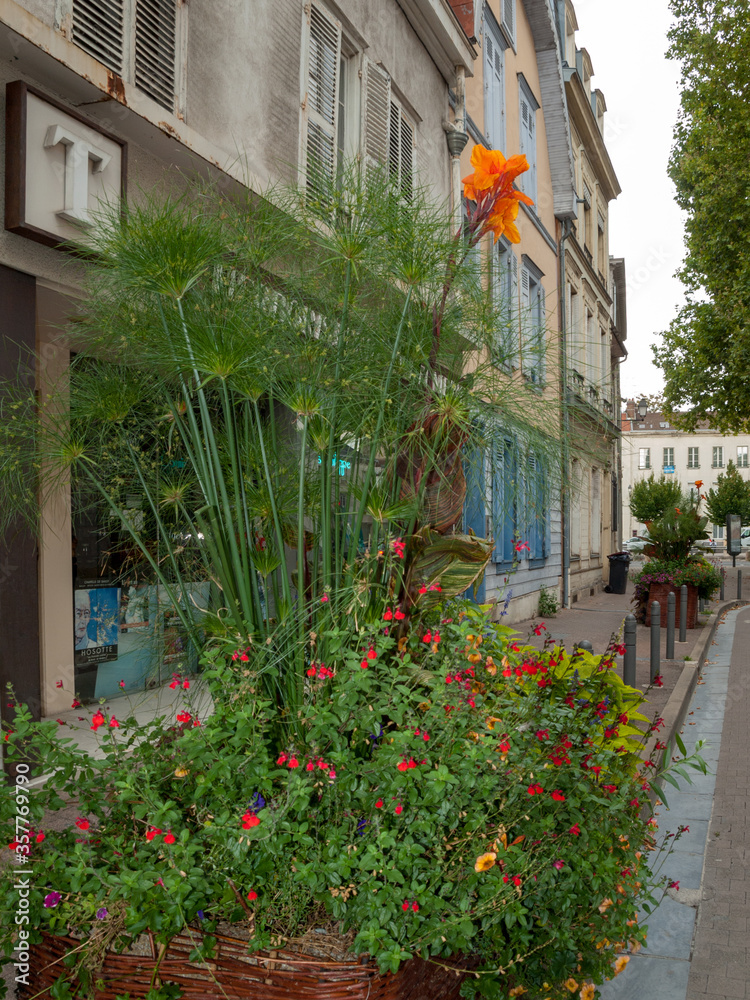 A beautiful, colorful flower bed in front of the facade of the Troyes house. Aube, Champagne-Ardenne, France