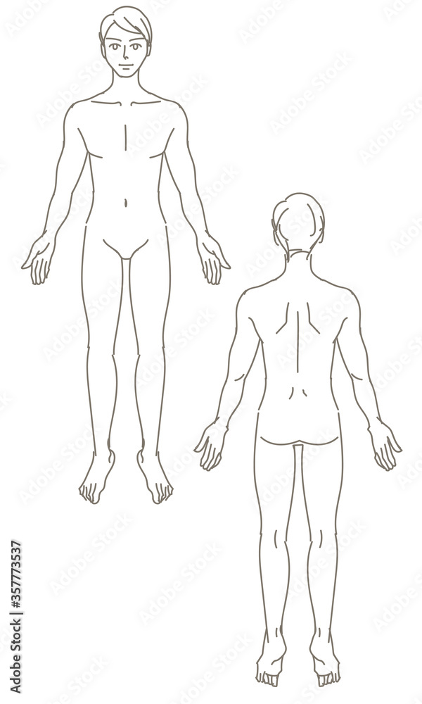 男性全身人体イラストstock Vector Adobe Stock