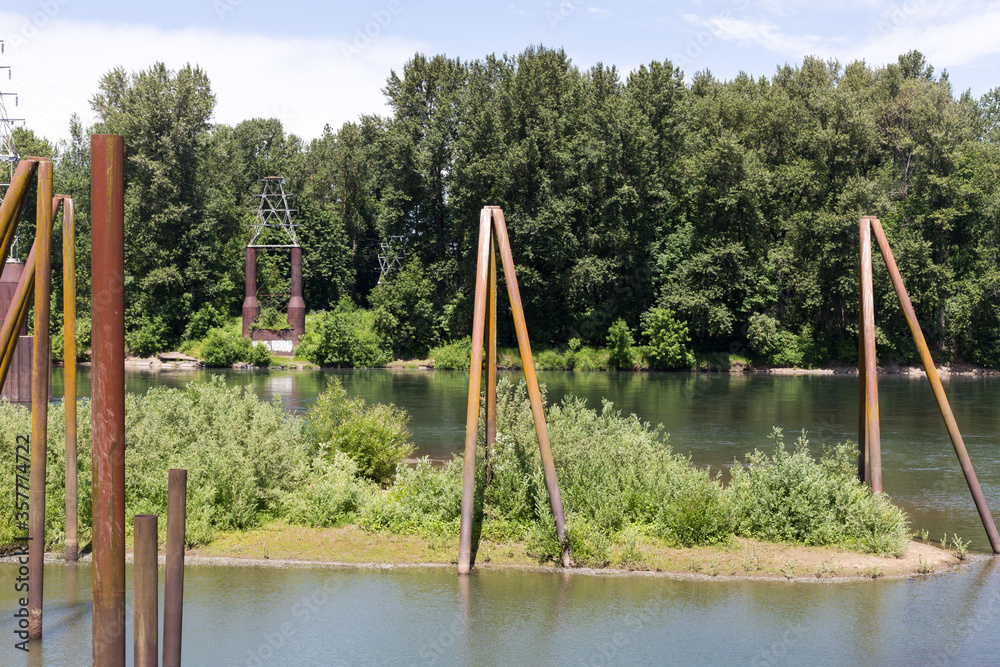 Fototapeta premium Willamette river in Albany, Oregon, in sunny summer day. View in Monteith Riverpark