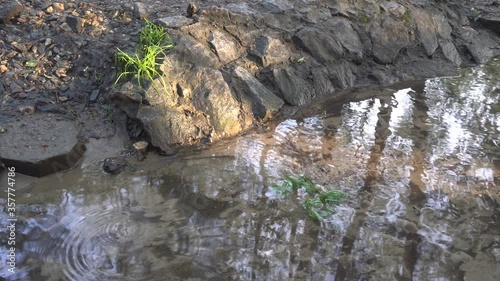 A stream flows in the channel in the early morning in the Krylatskoye area (Moscow, Russia). Reflections in the water of trees. photo