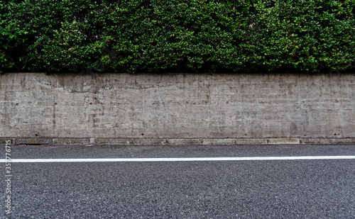 A thick hedge over a low concrete wall running along an asphalt road