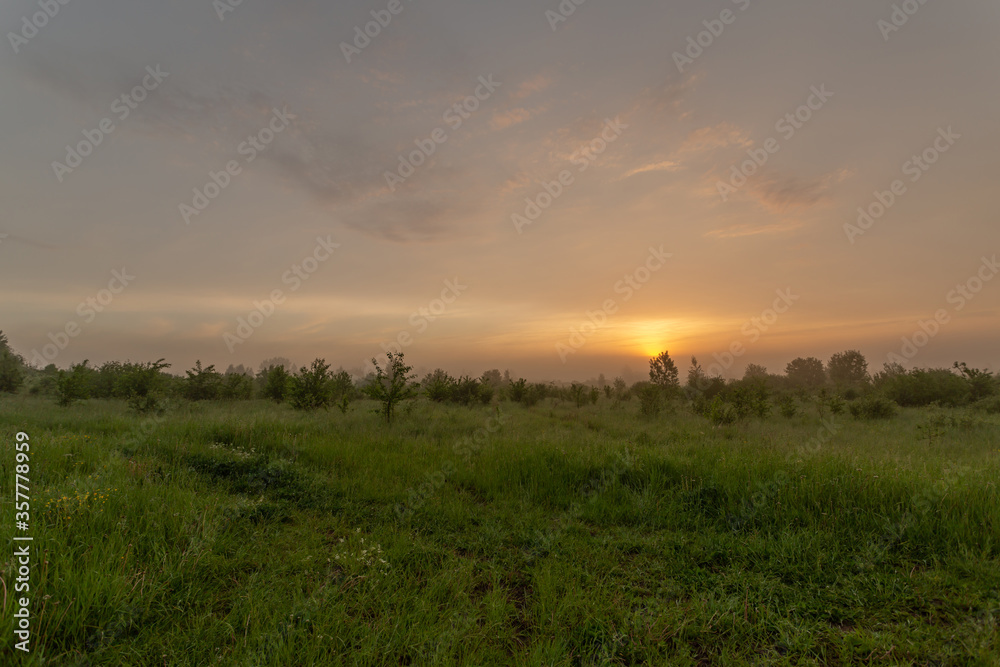 Misty morning light in the scenic countryside in early summer. Beautiful panorama.