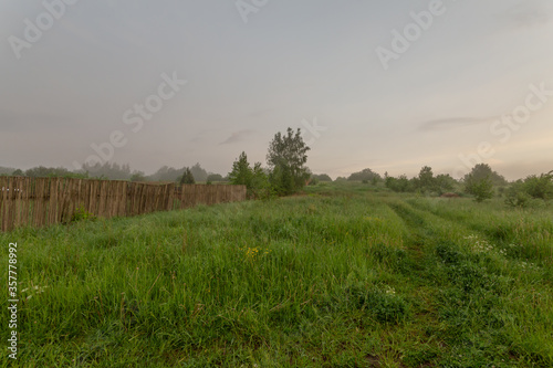 Peaceful scenery of grass field and nature just before the daybreak. Horizontal landscape photography.