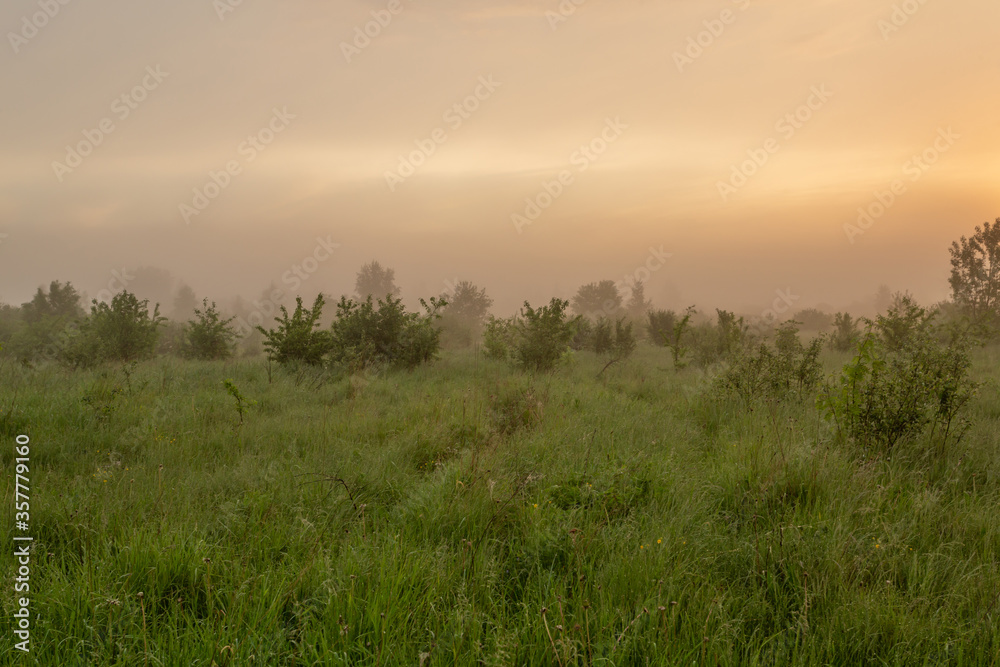 Awesome foggy nature of north region of Russia just before the cockcrow Horizontal landscape photography.
