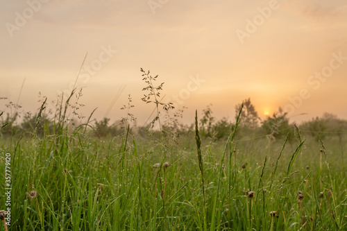 Scenic sunrise in a smoky valley in early summer. Horizontal landscape photography.