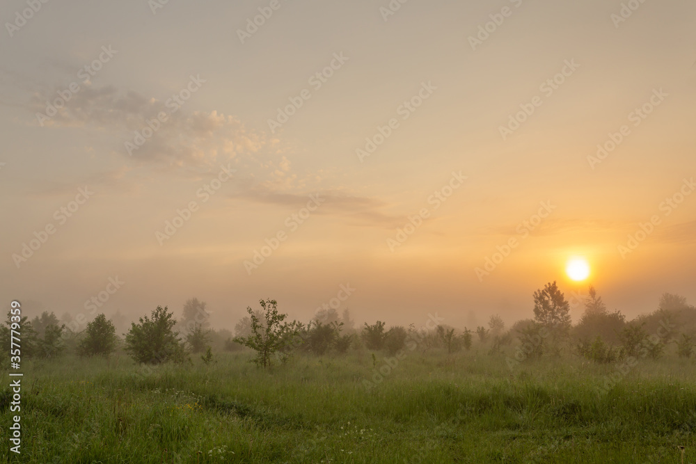Magic and misty nature during the dawn. Horizontal landscape photography. 