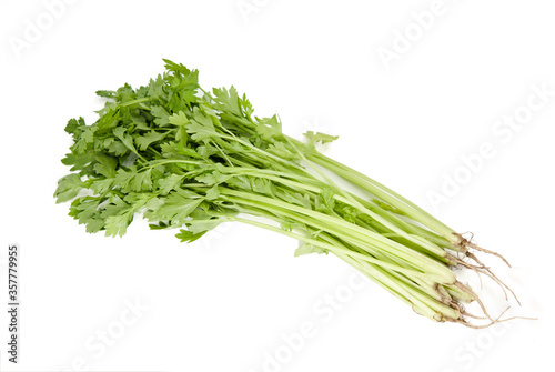 Green fresh celery. Stick isolated on white. © Yuanru