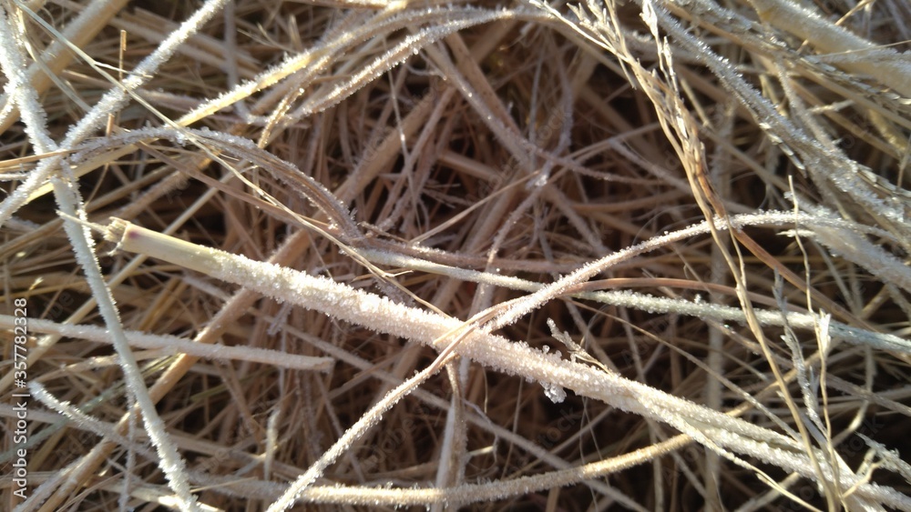 Closeup of ice crystals on dull yellow and brown grass. Frosted grass.