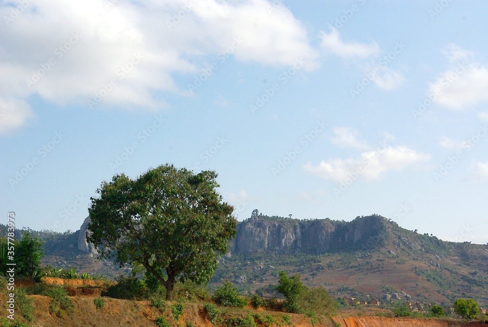 Exotic landscape of Madagascar