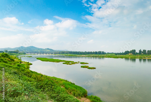 summer landscape with lake