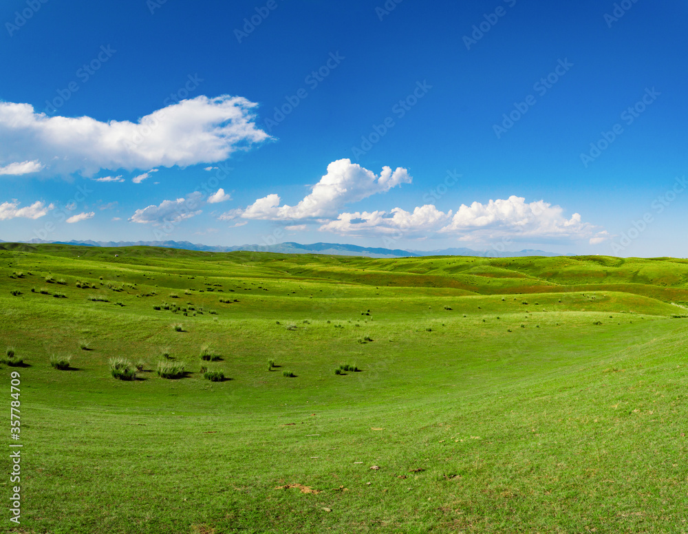 green field and blue sky