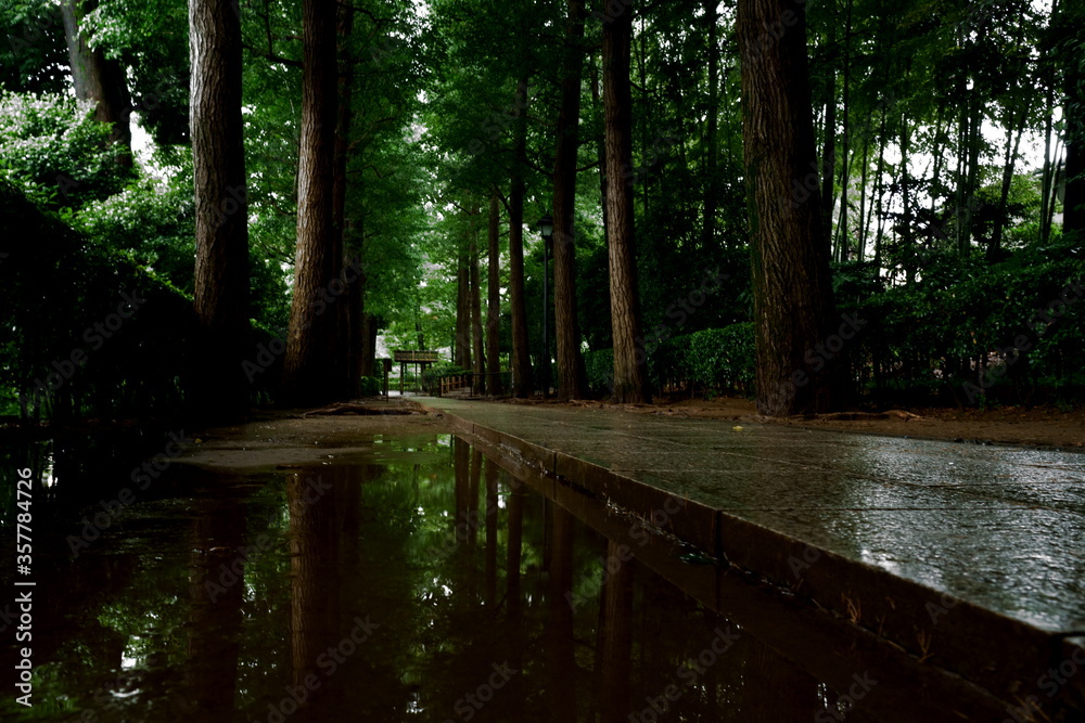 Obraz premium 雨降る夏の緑多い日本式の公園の風景