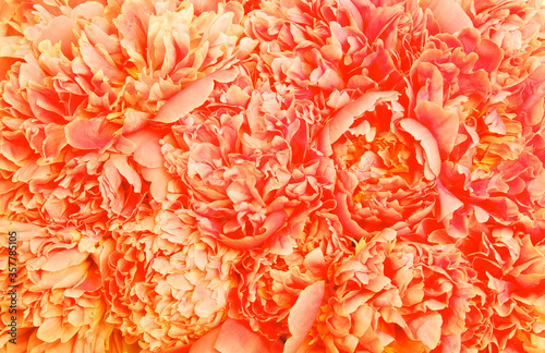  Abstract orange flower © Alekss
