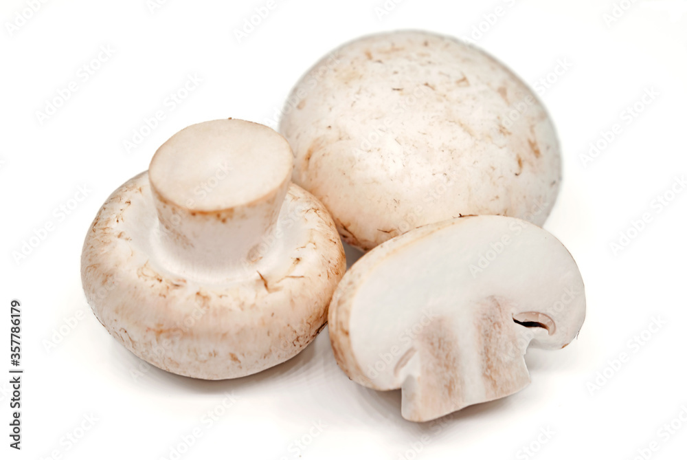 mushrooms on a white background mushrooms on a white background