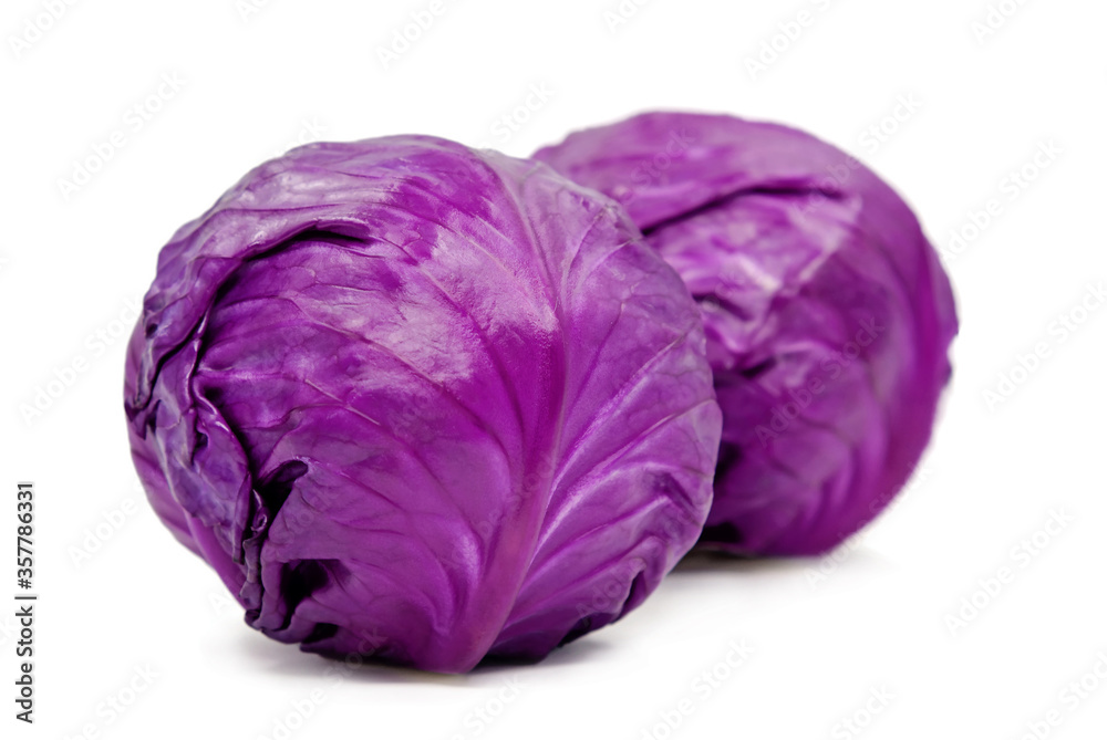 purple cabbage isolated on white background purple cabbage isolated on white background