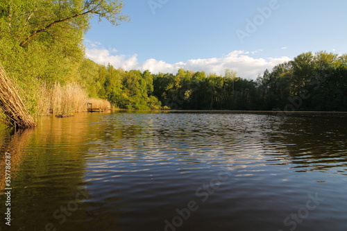 Small lake in the nature