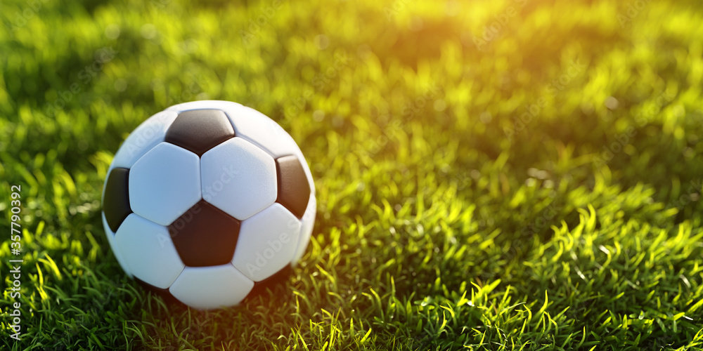 Fototapeta premium Soccer, football ball on grass. Banner